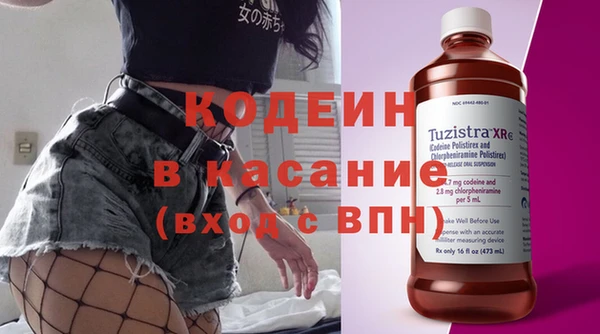 прущие грибы Абаза