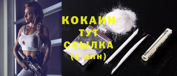 прущие грибы Абаза
