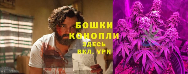 прущие грибы Абаза