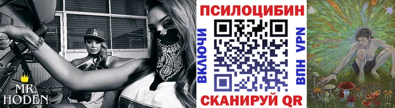 Галлюциногенные грибы Magic Shrooms  дарк нет наркотические препараты  Западная Двина  цена наркотик 