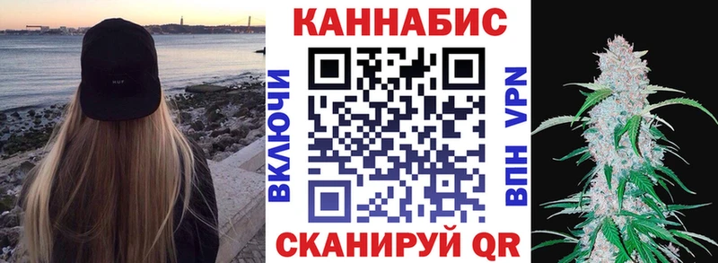 Конопля сатива Западная Двина